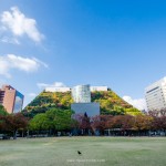 ACROS Fukuoka & Tenjin Central Park ชมตึกต้นไม้และสวนริมคลองเมืองฟุกุโอกะ