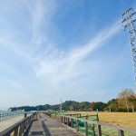 เที่ยวญี่ปุ่น ไปดูเกาะกระต่ายที่ Okunoshima จ.ฮิโรชิม่ากัน!