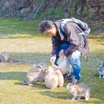 เที่ยวญี่ปุ่น ไปดูเกาะกระต่ายที่ Okunoshima จ.ฮิโรชิม่ากัน!