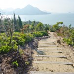 เที่ยวญี่ปุ่น ไปดูเกาะกระต่ายที่ Okunoshima จ.ฮิโรชิม่ากัน!