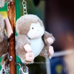 ของที่ระลึกจาก Monkey Park