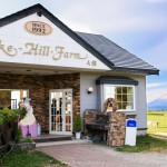 บรรยากาศในร้านคาเฟ่ Lke Hill Farm มองเห็นทุ่งหญ้าสีเขียวเบื้องหลังเห็นเขา Yotei (โยเทอิ) ได้อย่างชัดเจนสวยงาม