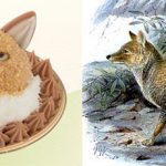 Tibetan Sand Fox sweets from Niche animals x Patisserie Swallowtail