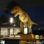 เที่ยวคิวชู พิพิธภัณฑ์ไดโนเสาร์สุดอลังการ Fukui Prefectural Dinosaur