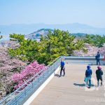 https://www.dplusguide.com/wp-content/uploads/2018/03/2nd-Jinhae-tower.jpg