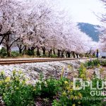 https://www.dplusguide.com/wp-content/uploads/2018/03/Gyeonghwa-Station.jpg