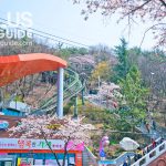 https://www.dplusguide.com/wp-content/uploads/2018/03/Jehwangsan-Park.jpg