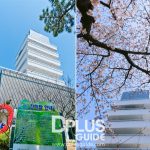 https://www.dplusguide.com/wp-content/uploads/2018/03/Jinhae-Tower.jpg