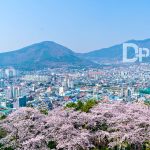 https://www.dplusguide.com/wp-content/uploads/2018/03/Observatory-of-Jinhae.jpg