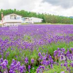 Highland-Furano