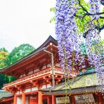 Kasuga-taisha